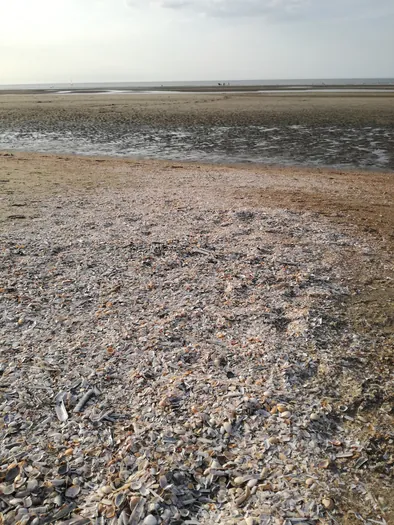 Oostduinkerke (België)